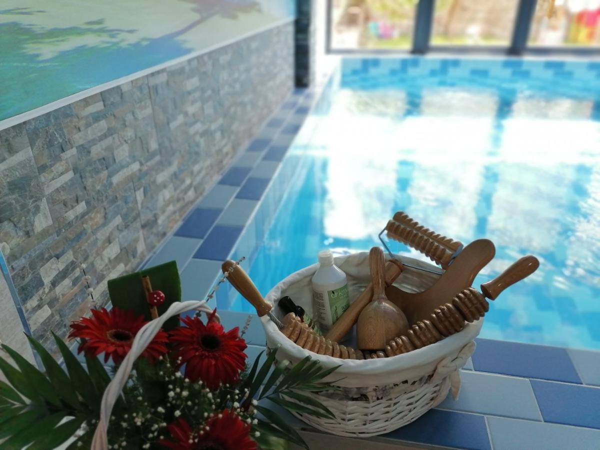 Vila Cair Doplata Za Bazen Soko Banja Ngoại thất bức ảnh